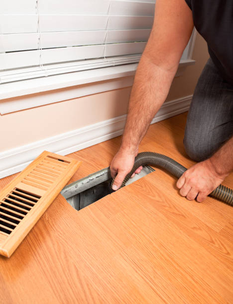 Best Ductwork Cleaning Services  in White Pigeon, MI